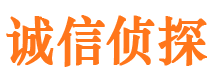 聂荣调查公司